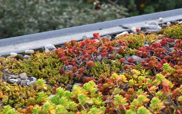 the cost of Moll green roof installation