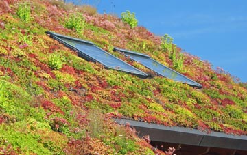 Moll living roof systems