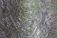 Moll fibreglass roof work